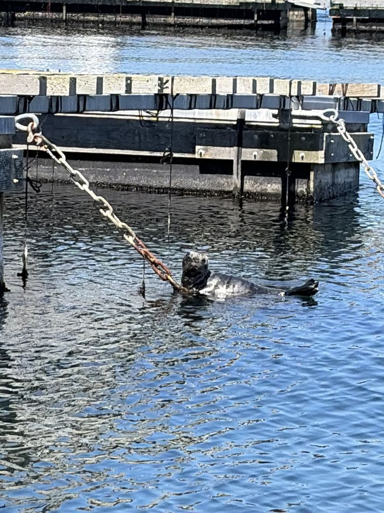 Penn Cove Boat Tours gallery photo