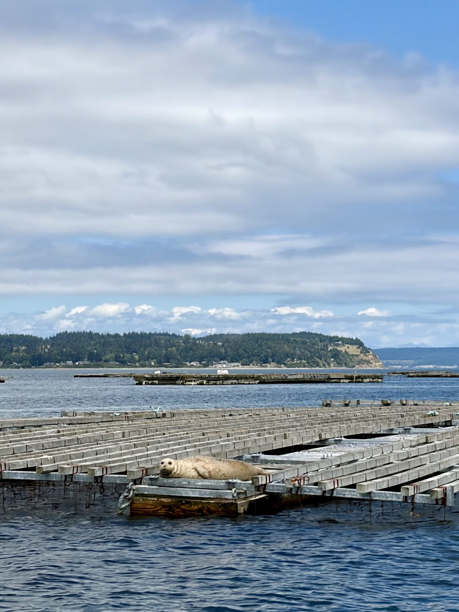Penn Cove Boat Tours gallery photo